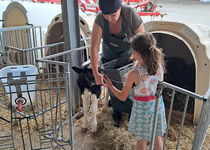 Winkelfeldhof Daire *