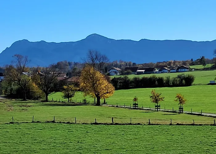 Daire Winkelfeldhof *