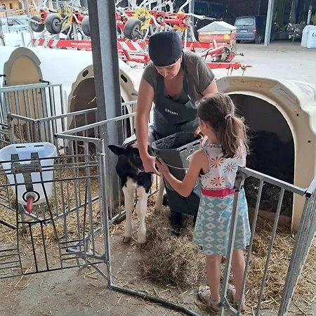 Winkelfeldhof דירה *