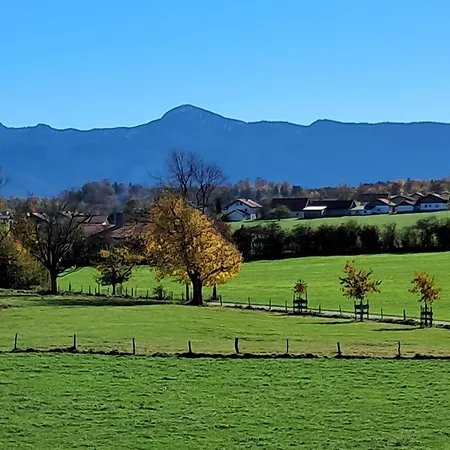 Apartment Winkelfeldhof *